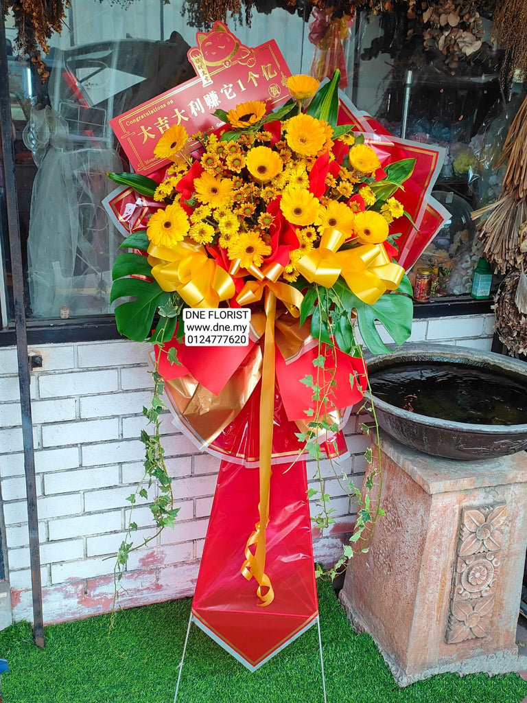 Opening Flowers 02