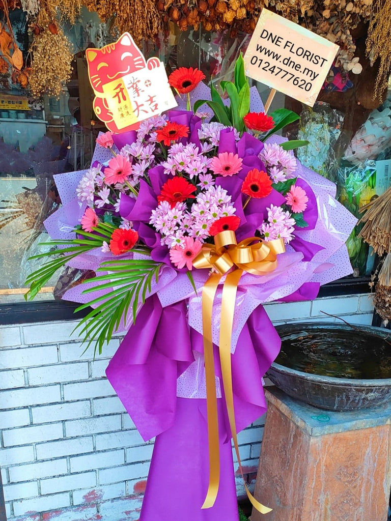 Opening Flowers 06