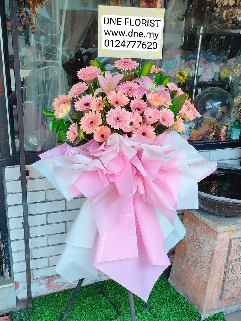 Opening Flowers 10
