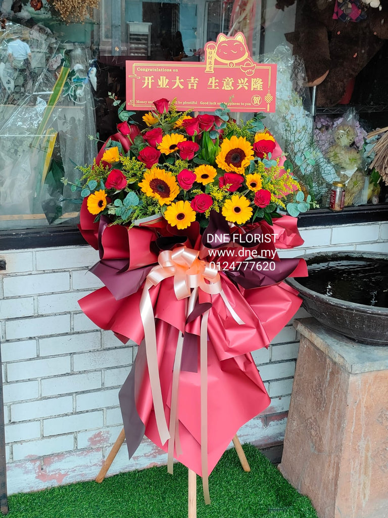 Opening Flowers 11