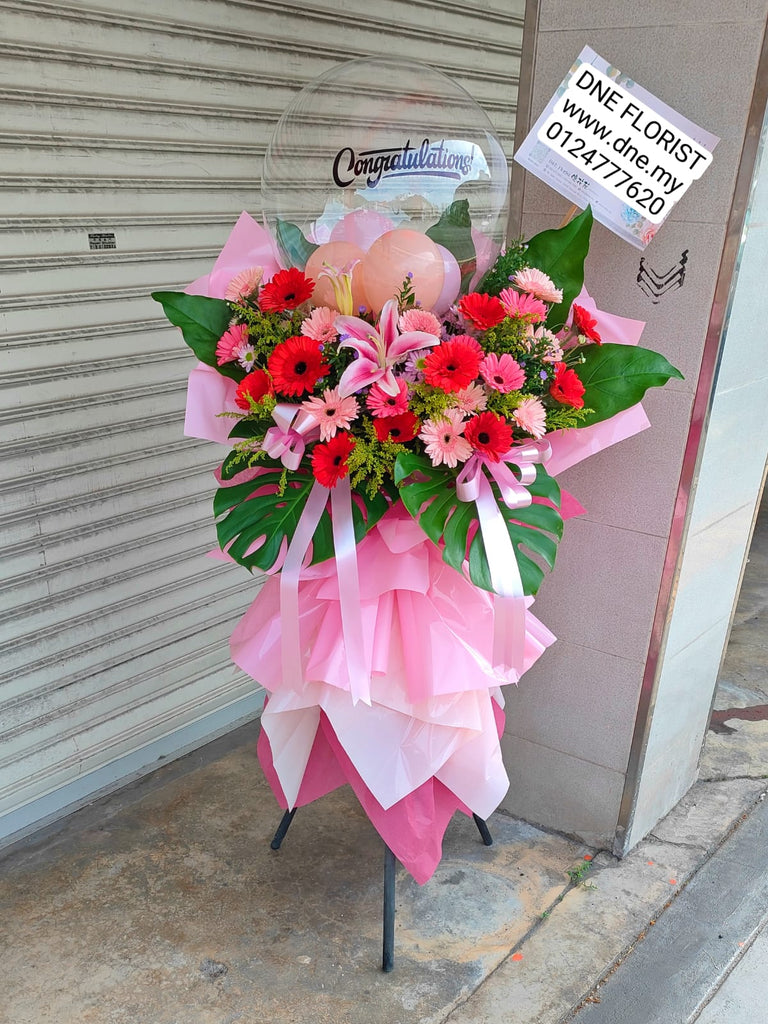 Opening Flowers 12
