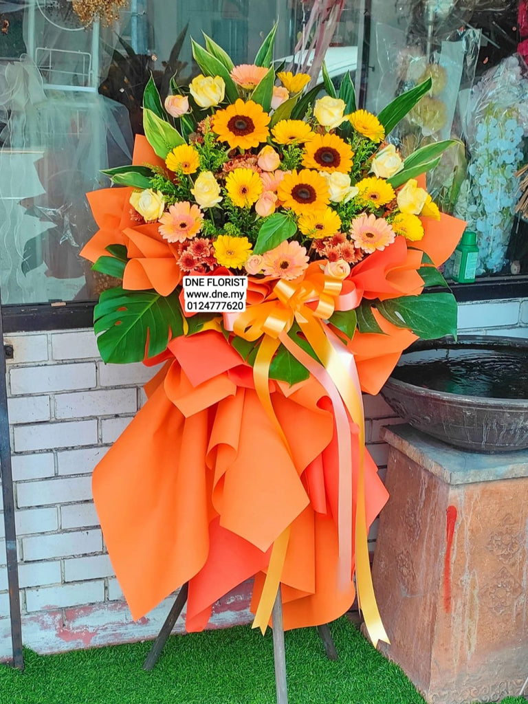 Opening Flowers 13