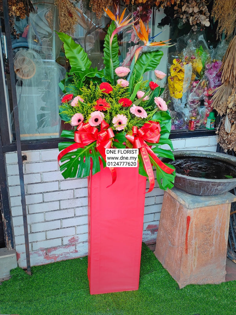 Opening Flowers 15
