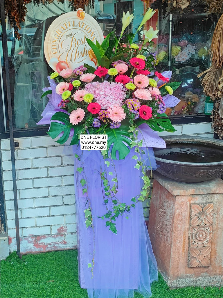 Opening Flowers 16