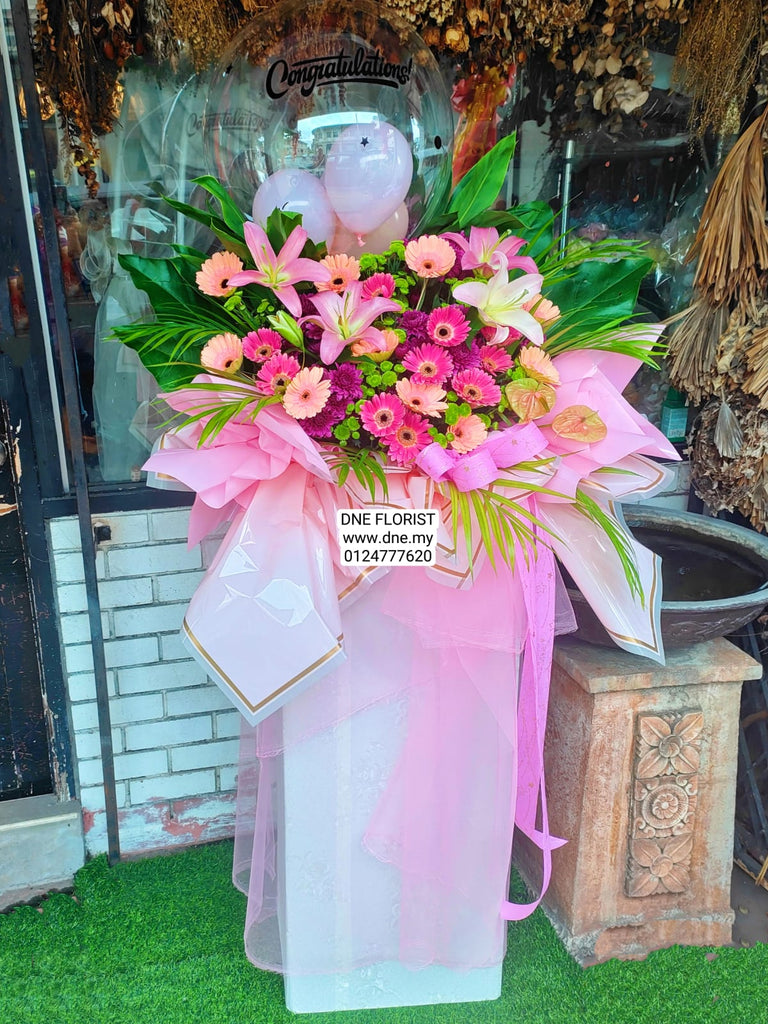 Opening Flowers 17