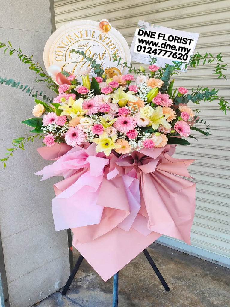 Opening Flowers 26
