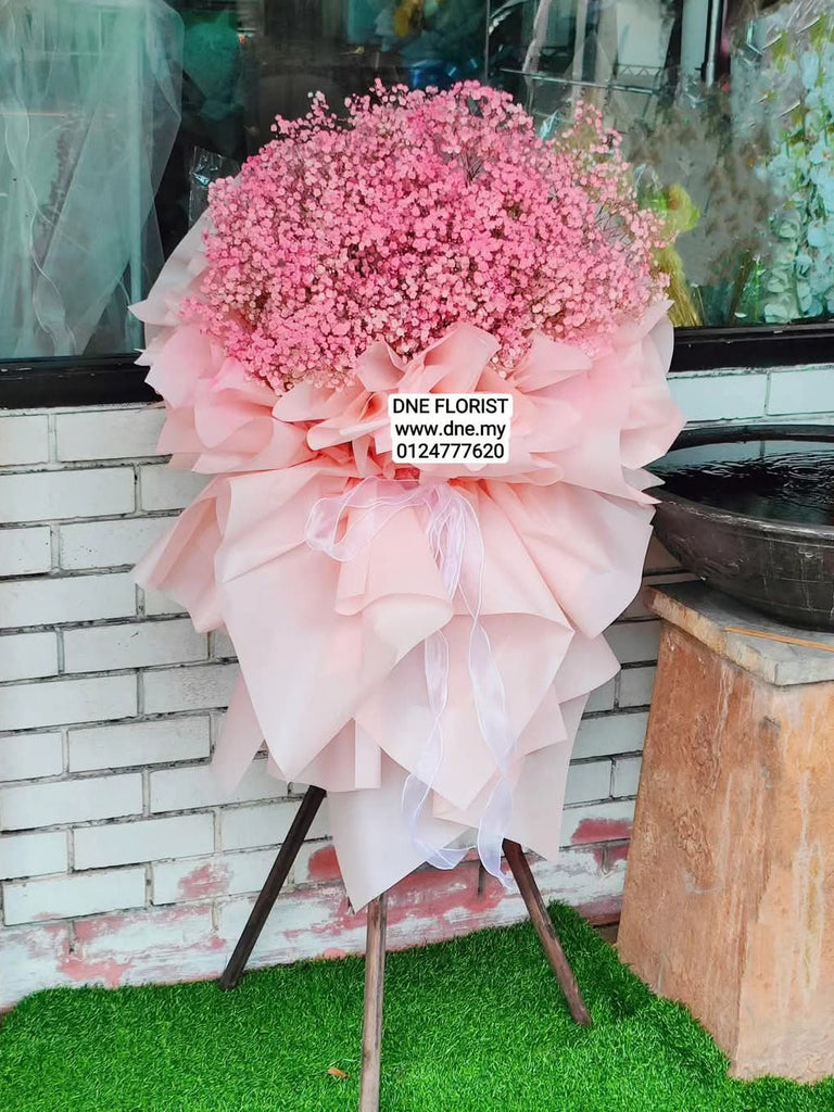 Opening Flowers 21