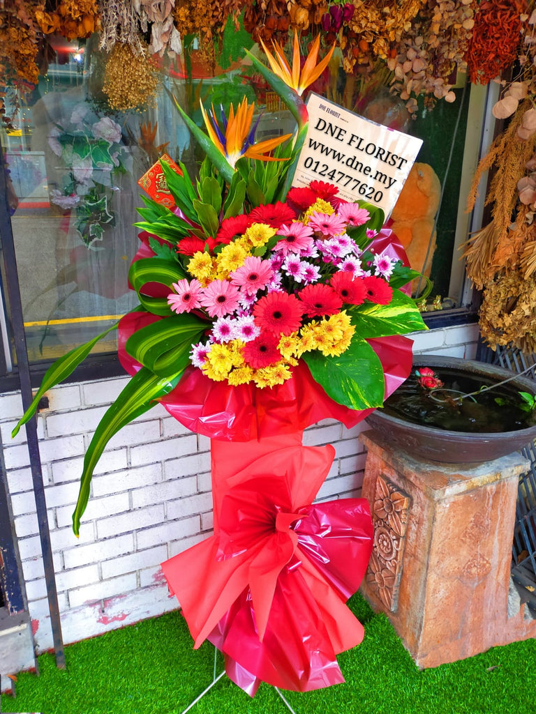 Opening Flowers 05